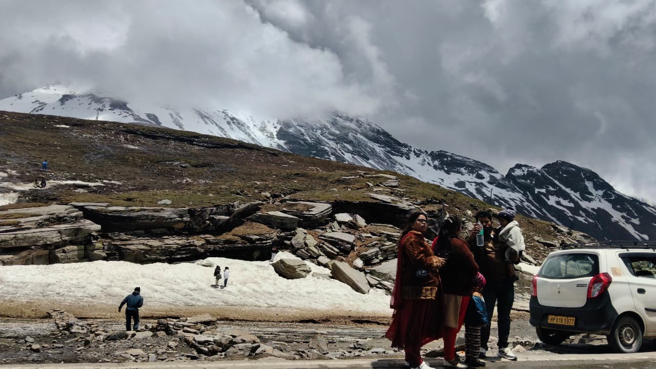 High Altitude Snow Point Safari